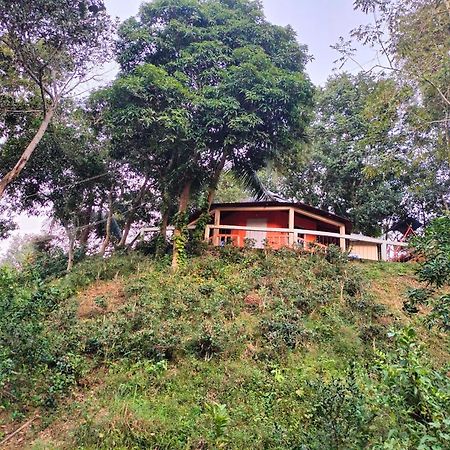 Jungle Cottage Sreemangal Room photo