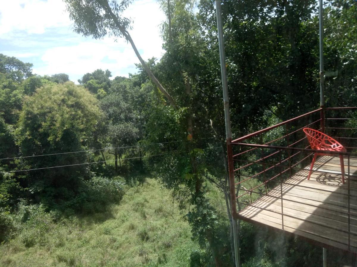 Jungle Cottage Sreemangal Exterior photo